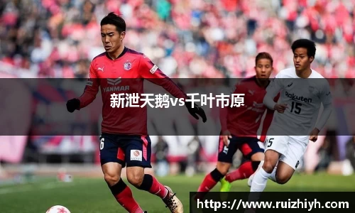 新泄天鹅vs千叶市原